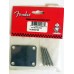 Fender 099-1447-100 Chrome neck plat